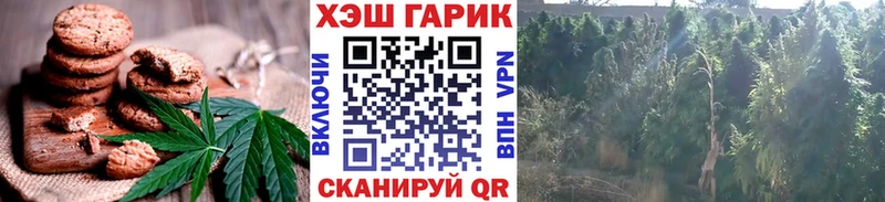 Cannafood конопля  Волчанск 
