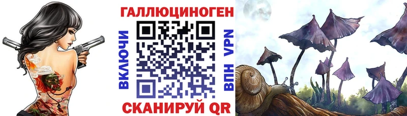 omg ТОР  Волчанск  Псилоцибиновые грибы мухоморы 